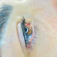 شیدینگ لب میکروبلیدینگ ابرو خط چشم بنمژه لیفت ابرو|خدمات آرایشگری و زیبایی|مشهد, کوثر|دیوار