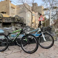 دوچرخه ویوا المپیا اقتصادی 24.26