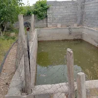 باغ-هزار-متری
