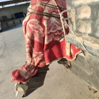 قایق موتور 85|قایق و سایر وسایل نقلیه|بندرلنگه, |دیوار