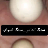 شخصی وسرگرمی برای افراد علاقه مند و آنتیک باز|کلکسیون و سرگرمی|دامغان, |دیوار