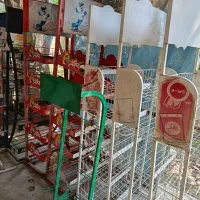 استند
