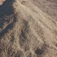 خارشترآماده تحویل جوین|لوازم جانبی حیوانات|عطاملک, |دیوار