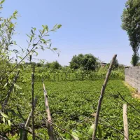 یک-قطعه-زمین-مسکونی-شهری-براصلی-بلوار-امام-حسین