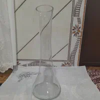 گلدان شیشه ای|گل و گیاه طبیعی|هشترود, |دیوار