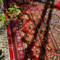 جفت ۱۲متری|فرش|گلبهار, شهر جدید گلبهار|دیوار