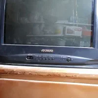 تلویزیون