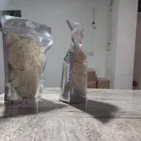 دستکش لاتکس