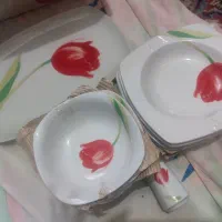 چای خوری آرکوپال و چینی