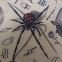 آموزش تتو بدن فقط بانوان|خدمات آموزشی|رشت, کوی قدس|دیوار