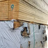 تخته بنایی کاج محکم l0875 روسی خشک مناسب نما|مصالح و تجهیزات ساختمان|تهران, هوانیروز|دیوار