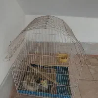 قفس طوطی عروس هلندی ۵۰ در ۵۰