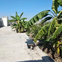 ویلایی-80-متری