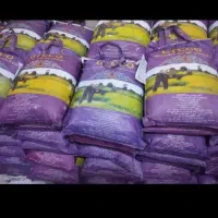 برنج جی تی سی هندی