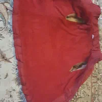 فروش کاپشن دخترانه|لباس|بندرعباس, |دیوار