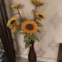 گل افتاب گردون