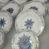 آرکوپال سرویس پذیرایی ظروف ۳۰نفره۱۲۵تکه نو|ظروف سرو و پذیرایی|تهران, خانی آباد نو جنوبی|دیوار