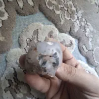 سنگ شجر