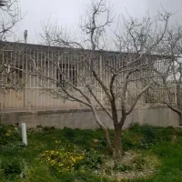 500متر-باغ-با-100متر-بنا-داخل-بافت-دماوند-جابان