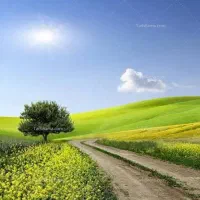 فروش ۶ هکتار زمین کشاورزی در روستای یکشوه
