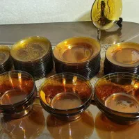 سرویس ۱۸ نفره عسلی