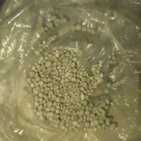 کود ریشه دی امونیوم فسفات گرانوله رازی درجه یک|خدمات باغبانی و درختکاری|شاهیوند, |دیوار