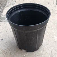 انواع گلدان گلخانه ای