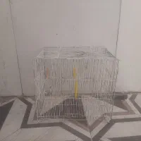 سلام یک عدد قفس تمیز سالم برای فروش|لوازم جانبی حیوانات|اهواز, کوی مندلی(سه راه خرمشهر)|دیوار