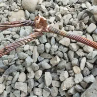 برقکار ساختمان و صنعتی