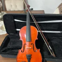 ویولون|ویولن|رفسنجان, |دیوار