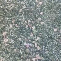 ذرت سیلو ذرت علوفه ای خوراک دام کاه گندم|لوازم جانبی حیوانات|رشت, لاکانی|دیوار