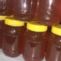 عسلطبیعیگونازپشتکوهیزد، خالصوخوشعطر|خوردنی و آشامیدنی|یزد, |دیوار