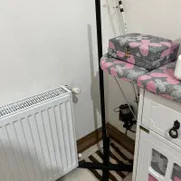 پایه شینیون