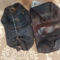 یک عدد کنه و یک عدد مشک