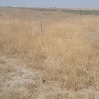 زمین-فروشی-جوکار-روستای-گل-خون-زمین-2600متر