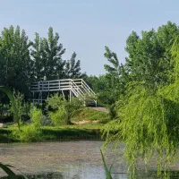 متفاوت و آسان تر ویلا خرید کنید|فروش خانه و ویلا|طالقان, |دیوار