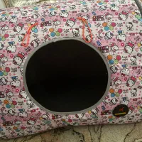 جای خواب و خاک و غذا سگ و‌گربه