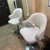 صندلی برای فروش