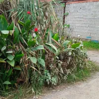 فروش-زمین-مسکونی-شهری-80متری