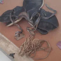 زین ودهنه|اسب و تجهیزات اسبسواری|شوشتر, |دیوار