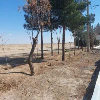 ۱۵۰مترزمین روبروی منازل مسکونی گرگاب شاهین شهر|فروش زمین و ملک کلنگی|اصفهان, خانه اصفهان|دیوار