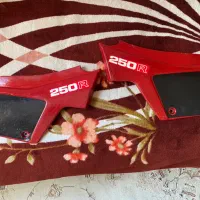 قاب بغل اکسل ۲۵۰