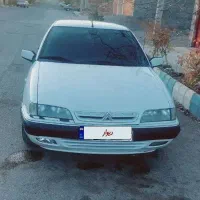 زانتیا سفید