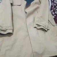 پالتوپاییزه