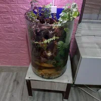 پالاداریوم (اکواریوم)