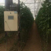 گلخانه فلفل دلمه