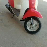 پاکشتی اسکوپی