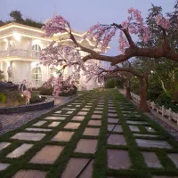 باغ عمارت  باغ تالار شرق تهران|خدمات پذیرایی، مراسم|تهران, تهرانپارس شرقی|دیوار