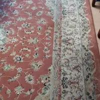 فرش ۹ متری نگین مشهد ماشینی|فرش|رشت, سعدی (تختی)|دیوار