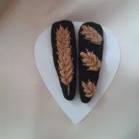 گیره مو تق تقی